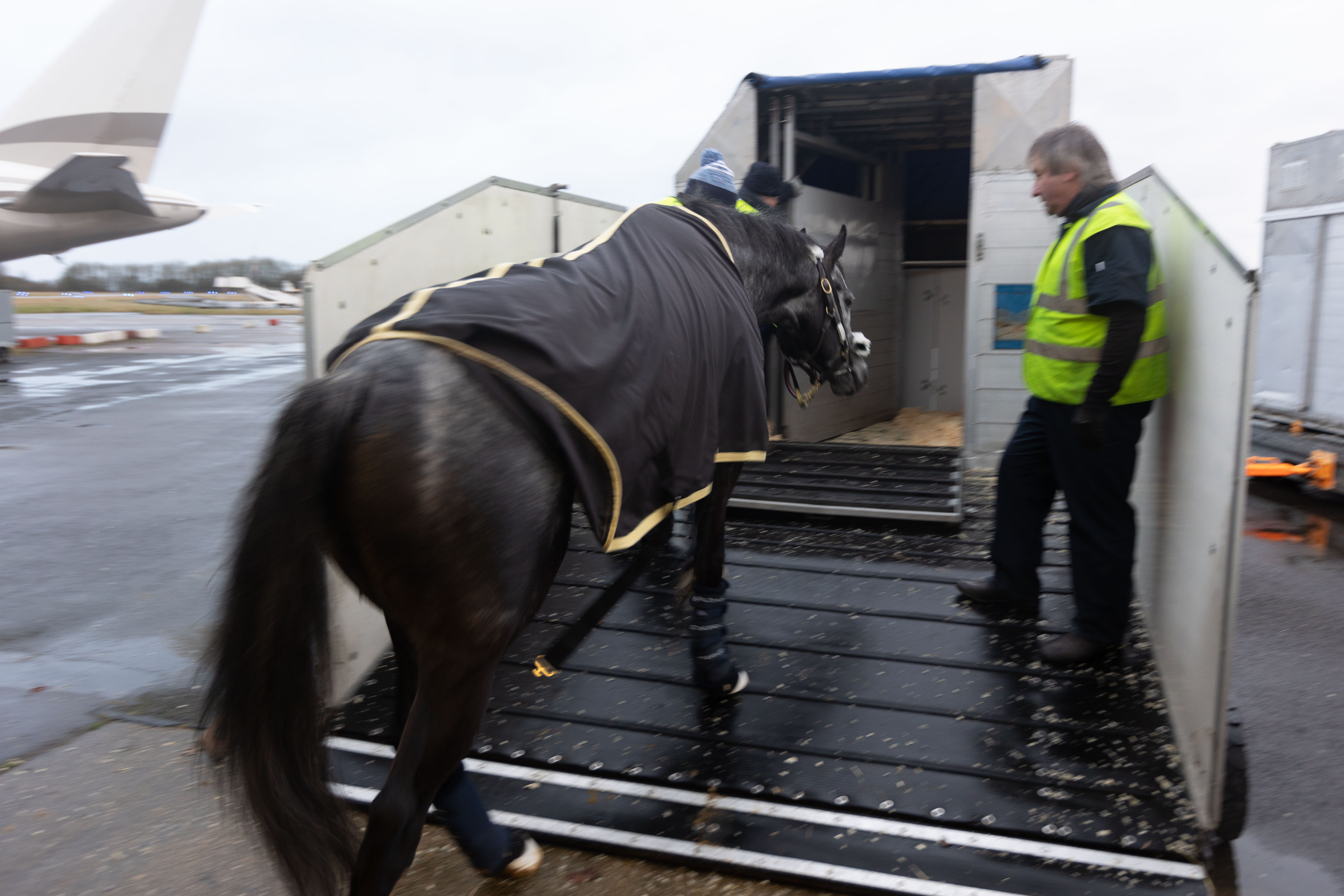 Airplane For Horses