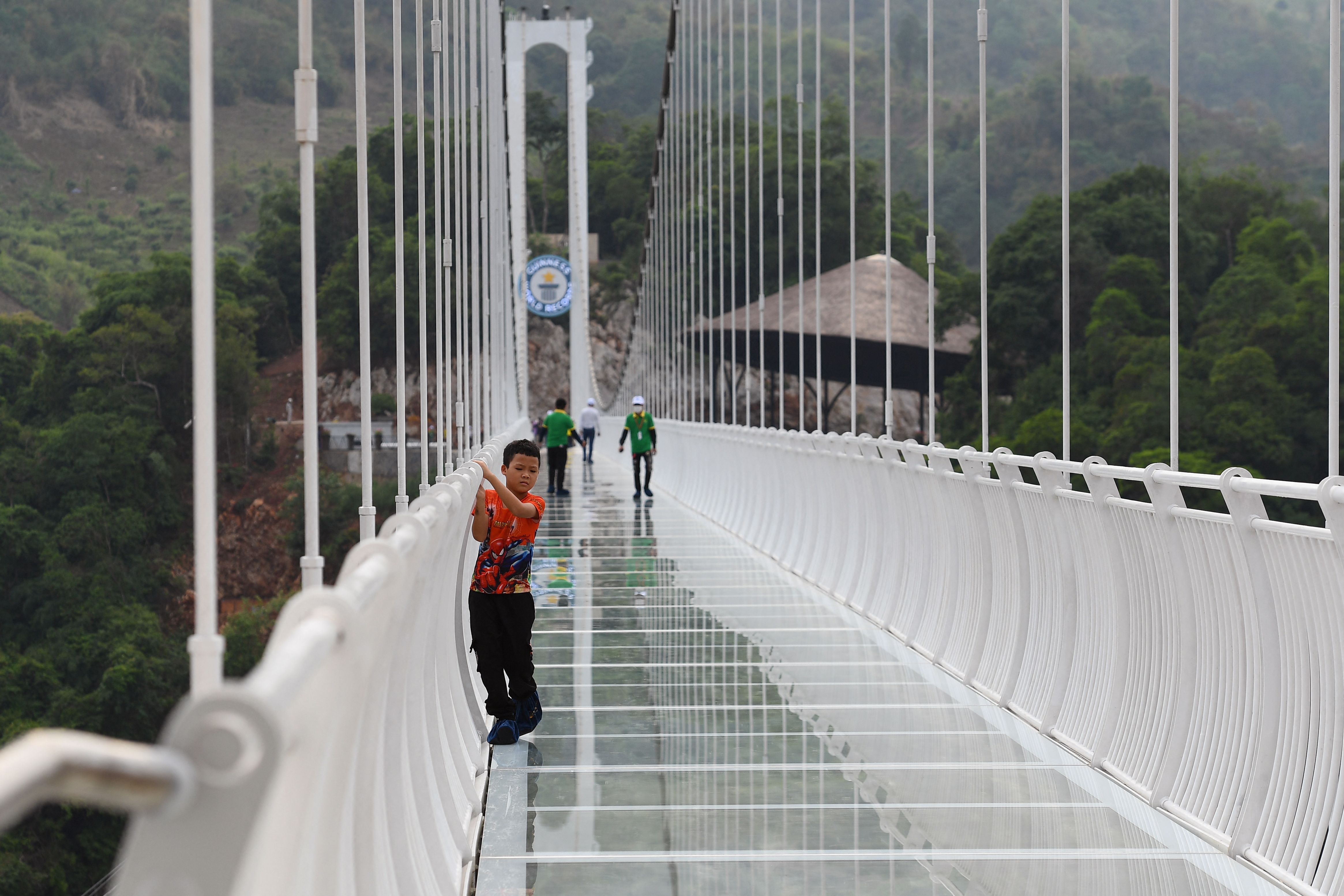 Don't look down: 'world's longest' glass-bottomed bridge opens in ...