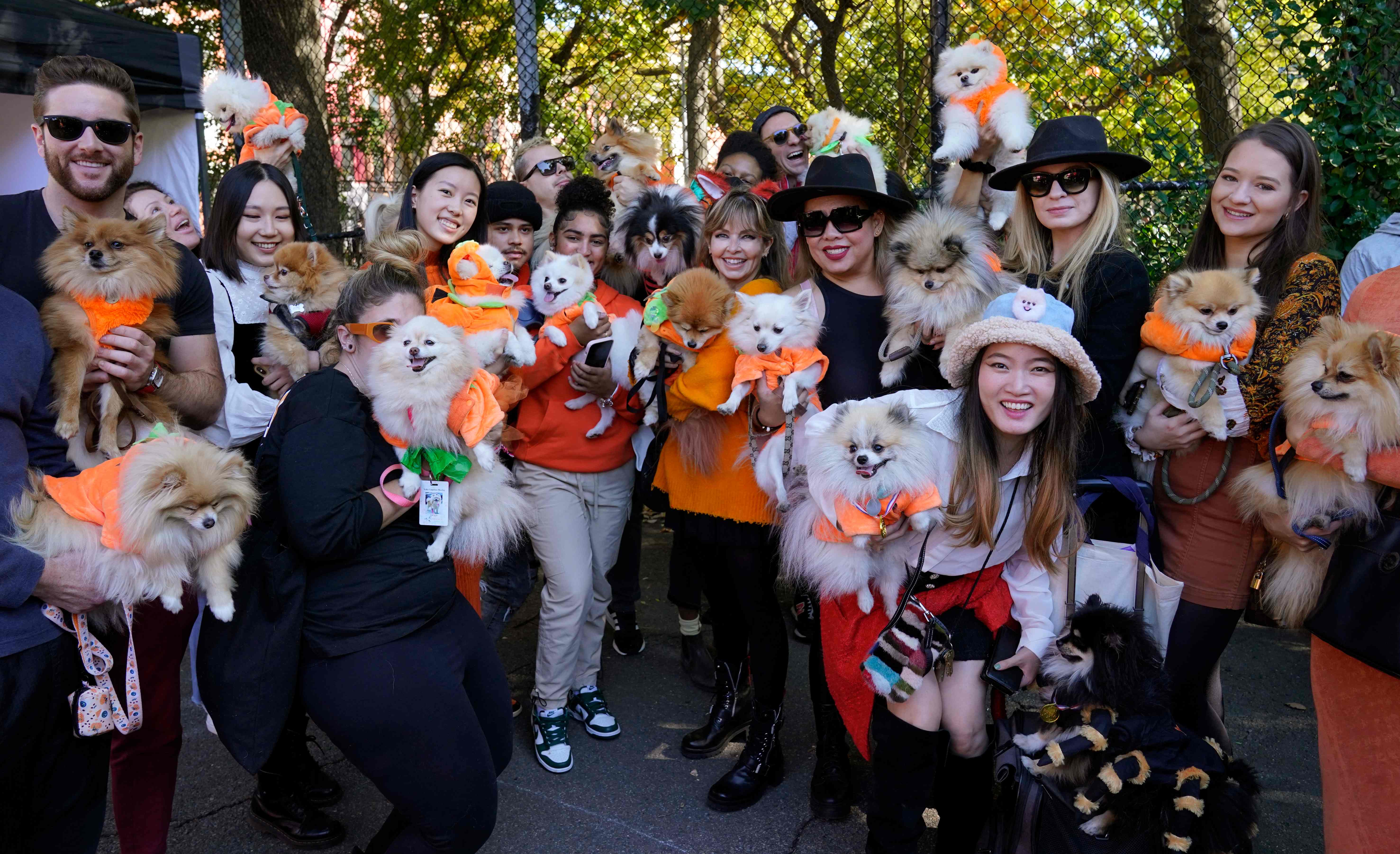 Dogs dress up in elaborate Halloween costumes for New York parade