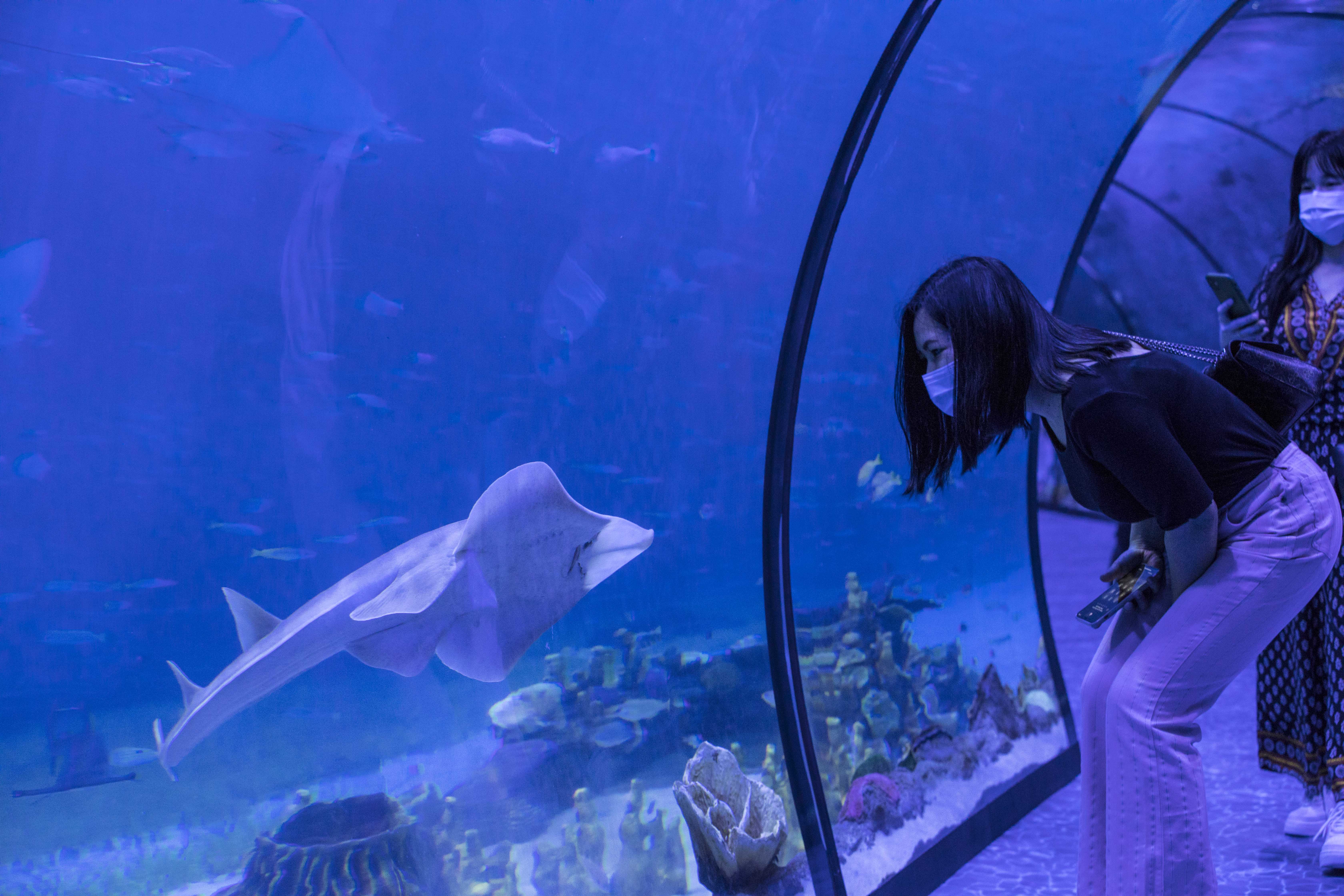 Abu Dhabi History Museum And Aquarium