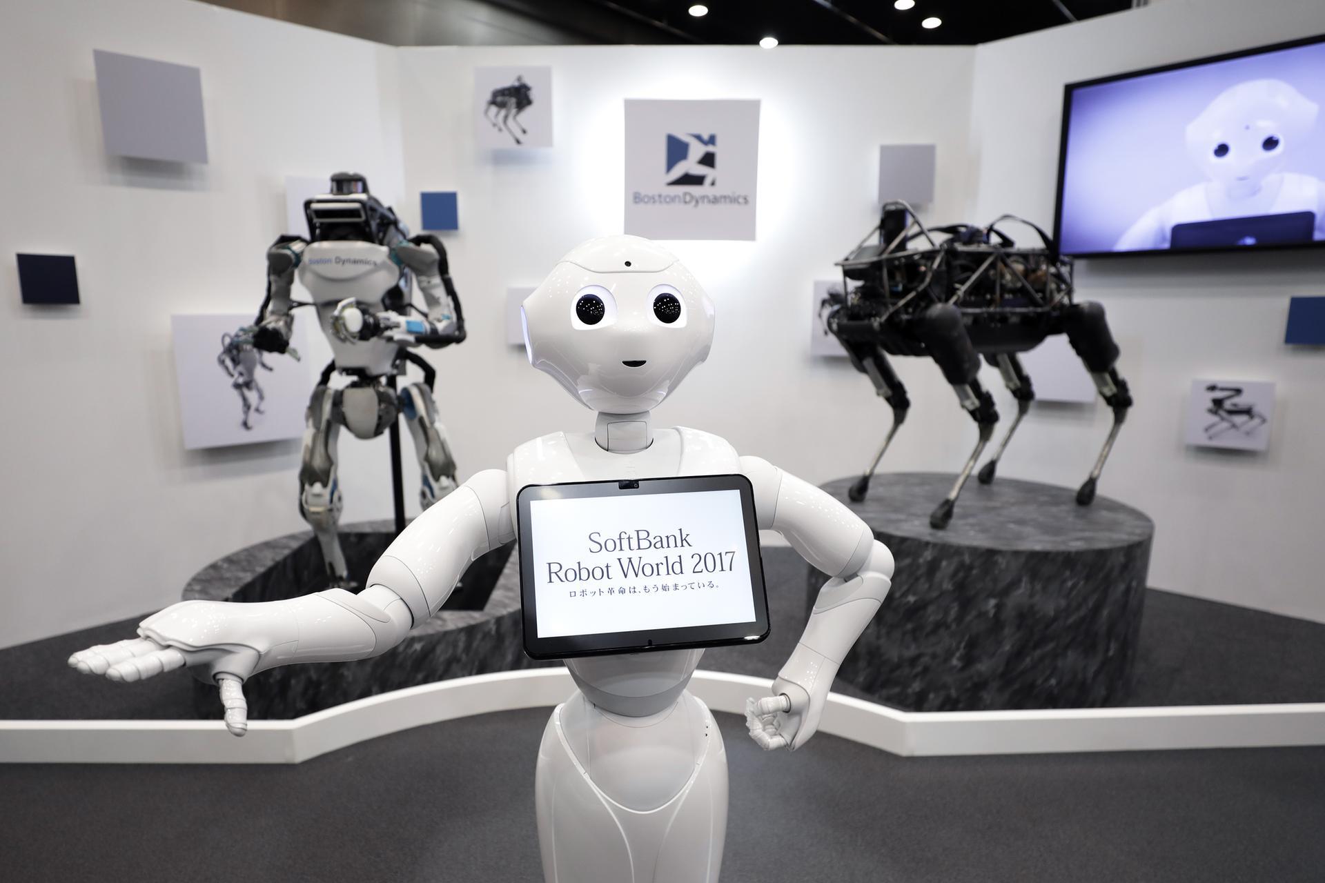 Dubai firm aims to cash in on growing demand for personal robots