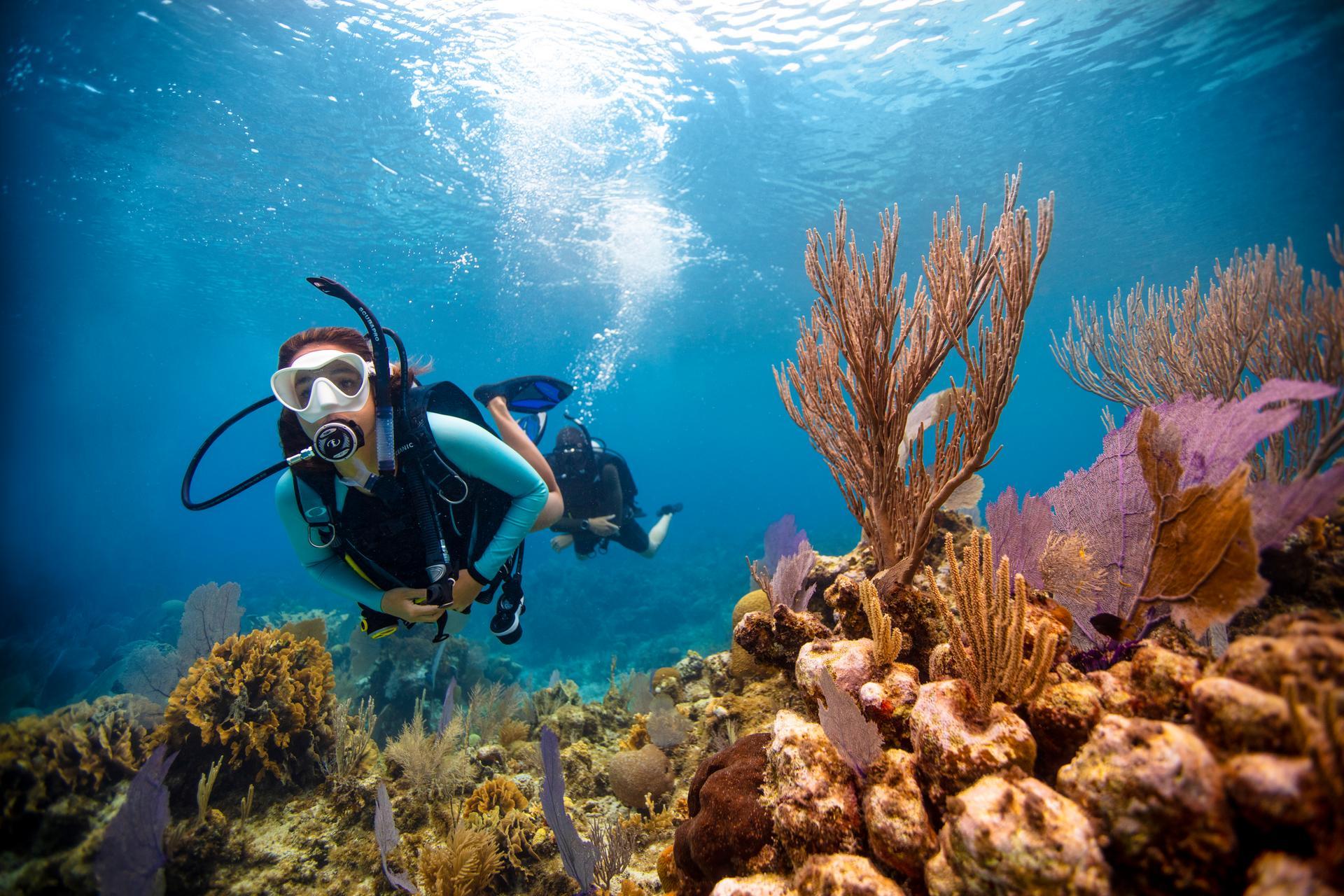 10 scuba diving courses on offer in the UAE: from beginners' training to  expert exploring