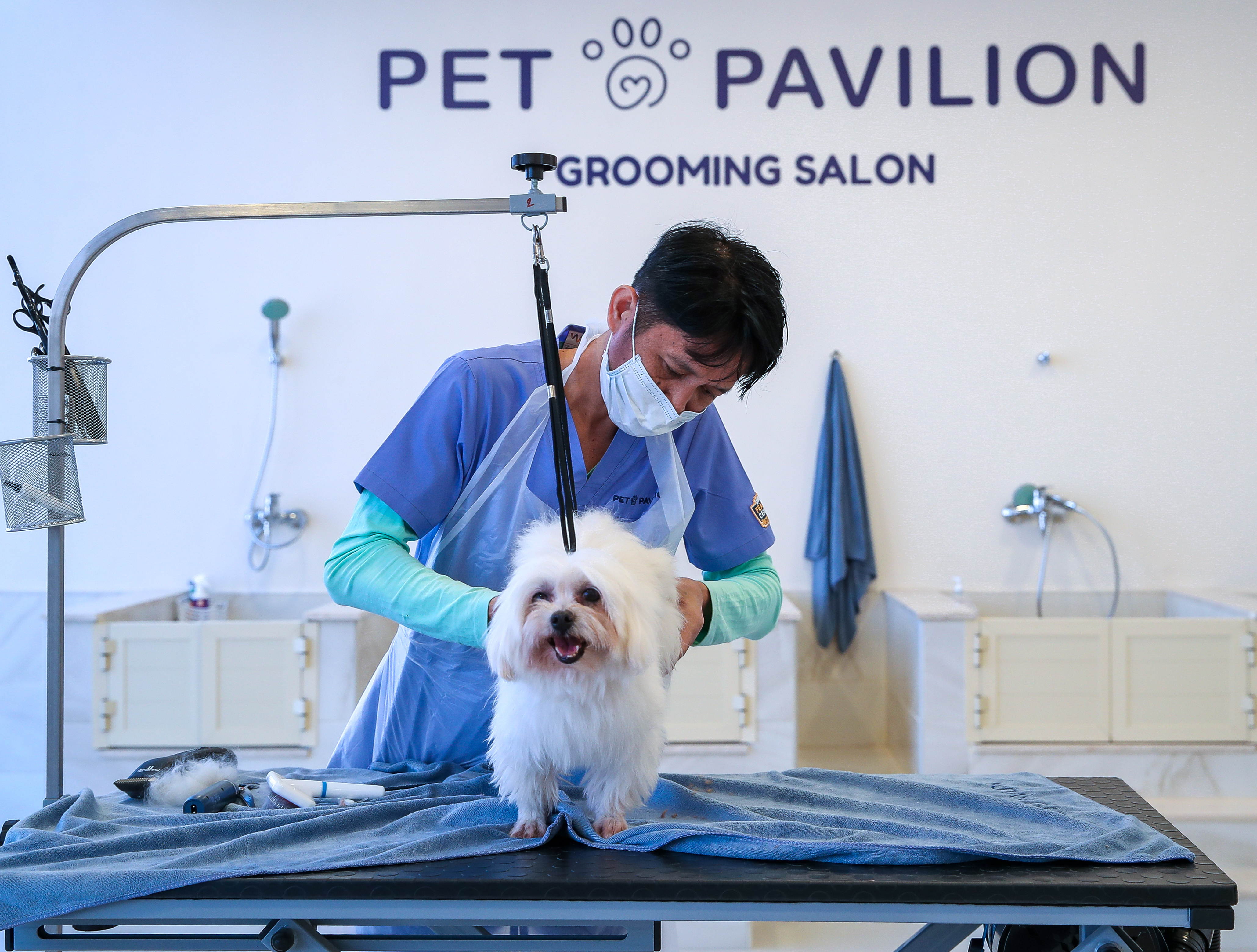 Pet Care And Grooming Abu Dhabi