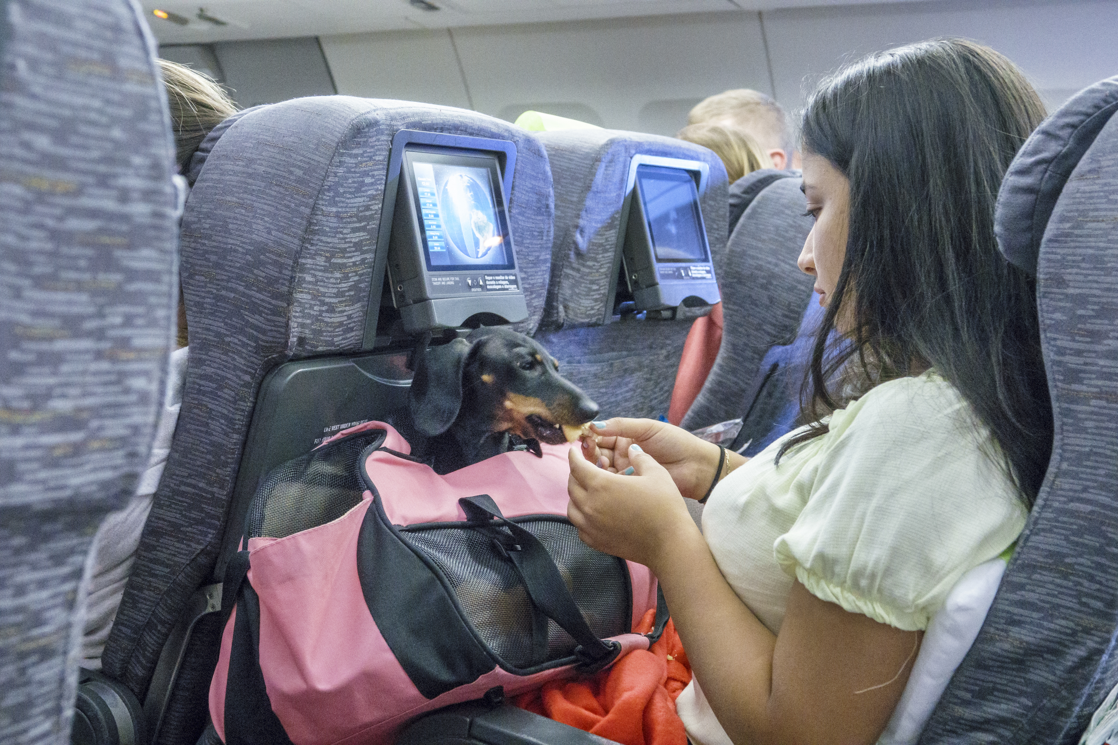 airlines that allow dogs flying with a dog in cabin airlines that allow dogs in cabin flying with pets pet flights dog flights airlines that allow pets in cabin airlines that fly dogs airlines that allow dogs in cargo airlines that allow pets flights that allow dogs air travel with dogs air pets pet cargo airlines dog airline pet travel airlines airlines travel dog flight carrier pets allowed in flight pets are allowed in flight dogs are allowed in flight flights that allow dogs in cabin cargo flights for dogs cargo pet travel pet air travel in cabin pet carrier flying pets in cargo dog in cabin flight flights with dogs in cabin dogs allowed in flights pet cargo flights dog travel in flight airlines that fly dogs in cargo dog cargo airlines dogs that fly in cabin dog carrier dogs in cabin airlines dog carrier for flying dog air which airlines fly dogs dogs traveling in cargo flights for dogs in cabin dogs and flying airlines and dogs airlines that allow pets in cargo travel with dog in flight airlines that fly dogs in cabin air travel dog carrier air travel with dogs in cabin airlines allowing dogs in cargo dog air travel carrier any airlines flying in cabin with dog flying dog in cabin dog is allowed in flight airlines to fly with dogs dog in air flights that allow dogs in cargo travel with dog in cabin airline cabin dog carrier a dog flying which flight allows pets dogs in flight cabin flight with dogs allowed airlines with dogs in cabin flights that allow pets in cabin airlines that allow dogs to fly dog in cargo flight dog airline cargo dog travel airline cargo airlines flying with dogs air cargo for dogs dog air carrier airlines that allow in cabin pets airlines that allow pet travel airline travel dog carrier flights to europe airline flights flying with a dog air travel air flight fly airlines low cost flights european airlines dog flight cost dog airline carrier cargo flight fly air flight cost travel flights dog cabin cost to fly a dog low cost airlines europe pet airlines flights in europe cargo dog low cost flights europe flying dogs in cargo fly flight fly cargo pet flight cost i fly airlines flying with a small dog airlines for europe european cargo airlines flight cabin low cost fly travel with dog to europe european air airlines that accept dogs dog travel airlines low flight flying with air flying air any flight small dog airline carrier flying with small dog in cabin airlines that allow small dogs in cabin flights from europe small flights airlines that fly from airlines that accept pets airlines that allow dogs in cabin europe europe air travel air travel to europe airlines that fly to europe dog in cabin flying a dog in cargo cost cost to fly dog cargo low cost carriers europe flying to europe with a dog flight to europe cost cost to fly a dog in cargo cost of flying dog in cargo airlines accepting pets in cargo european carriers dogs carriers traveling with a small dog air travel in europe cost for dog to fly cost to travel with a dog which airlines accept dogs cabin dog flights with pets in cabin european airlines that allow dogs europe by air european airlines that allow dogs in cabin airline flights for dogs flights that accept dogs small dog flight carrier low cost airlines to europe airlines that accept dogs in cargo fly on dog air travel with small dog airlines that accept dogs in cabin fly the dog dog flight cargo flights dogs allowed small dogs flying in cabin air flights for dogs air travel carrier for dogs cost of flight to europe dogs and flights traveling with dog in cargo airlines which allow dogs in cabin small dog carrier for air travel airlines that accept pets in cabin airlines that accept pets in cargo dogs in the cabin airlines small european airlines dogs allowed in cabin airlines fly on a dog small dogs on flights airlines from europe cargo dog flights small dog airline travel carrier air flights to europe airlines flying to europe airlines that fly with dogs airlines that allow small dogs cost to travel with dog on airlines european airlines that allow pets in cabin cabin for dogs airline flights to europe cost to fly dog in cargo cost of dog travel by air cost of traveling with dog flights which allow dogs airline travel with dogs in cabin cost of flying a dog in cargo low cost fly europe flights allowing dogs in cabin flying with a dog to europe airlines that travel to europe in cabin dog travel dogs and air travel european air carriers airlines that allow dogs to fly in cabin cost for dog on flight flying small dogs on airlines airline cost for dogs airlines that allow dogs europe europe flight cost airlines that allow pets in cabin europe airlines that allow small pets in cabin cost of dog on flight flying pet dog flying with dogs in europe europe to europe flights europe air cargo flying with a pet dog airlines that allow dogs as cargo flying with a small dog in cabin flying with dogs europe airlines that allow pet in cabin cost to travel with dog dogs allowed on airlines airline pet carriers for dogs small dog carriers for airlines dog flying as cargo airlines that allow pets to fly airlines that allow pets to fly in cabin dogs to fly flights to and from europe airlines to fly to europe air to europe cost for flying with a dog dog airline flights travel flights to europe airlines that allow dogs flying with a dog in cabin airlines that allow dogs in cabin flying with pets pet flights airlines that allow pets in cabin airlines that fly dogs pet airlines airlines that allow dogs in cargo pet cargo airlines dog flight cost airlines that allow pets flights that allow dogs air pets pet travel airlines pet flight cost air travel with dogs pets allowed in flight pets are allowed in flight dogs are allowed in flight cargo pet travel pet air travel dog airline flights that allow dogs in cabin flying pets in cargo airlines that accept pets pet cargo flights airlines that accept dogs dogs allowed in flights cargo flights for dogs dog travel in flight dog travel airlines airlines that allow small dogs in cabin dog in cabin flight flying with small dog in cabin flights with dogs in cabin airlines that allow pets in cargo dogs that fly airlines that fly dogs in cargo dog cargo airlines airlines and dogs which airlines fly dogs dogs traveling in cargo travel with dog in flight which flight allows pets pet friendly airlines jetblue pet policy airlines that allow large dogs in cabin air canada pet policy dogs on planes dog friendly airlines flying with large dog in cabin traveling with a dog on a plane flights for dogs air canada pet cargo air canada pets dogs flying on planes dogs on airplanes taking a dog on a plane pets on planes best airline for pets jetblue pets jetblue dog policy airline pet policy pet friendly flights rabbit flights traveling with cats on a plane international airlines that allow cats in cabin flying with cats in cabin dog plane ticket best airline to fly with pets air canada flying with pets traveling with a cat on a plane airlines that ship dogs air canada dog policy air canada pet in cabin most pet friendly airlines best airlines for dogs shipping dogs by air air canada pet travel pets on airplanes jetblue pet travel dog flight ticket pet flight ticket flying with a puppy in cabin jetblue pet cargo taking a cat on a plane pet shipping airlines jetblue flying with pets best airlines to ship pets bringing a dog on a plane flying a dog in cargo pet transport airlines pet friendly airlines in cabin best airline to travel with pets best airline to fly with dog pet air transport shipping pets by air dogs flying air canada pet shipping jetblue animal policy airlines that allow large dogs in cabin 2021 dog friendly flights dog airline ticket taking pets on a plane cat flight dogs on planes rules dogs on international flights air canada pet policy international flights shipping a puppy by plane airlines that let you fly with dogs transporting dogs on planes traveling with a puppy on a plane jetblue pet policy cargo airline dog policy animal cargo flights pitbull friendly airlines airlines that allow large dogs cat friendly airlines best pet friendly airlines dogs allowed on planes pet friendly international airlines pet plane tickets airlines that allow rabbits pet airways cost bringing a cat on a plane bunny flights bringing cat on plane dog carry on plane airlines that fly pets air canada dogs taking your dog on a plane shipping puppies by air pitbull friendly airlines 2021 dog plane ticket cost airlines that take dogs airline that allows large dogs in cabin best airlines to ship pets internationally cost of pet transport by air taking my dog on a plane best airline to fly pets in cargo carry on pet flying a puppy on a plane pet friendly airlines 2021 air canada pet cargo cost taking a puppy on a plane cat flight ticket price air travel with cats dog flight ticket price air canada pet transport flying with your dog in the cabin international airlines that allow pets in cabin airlines that allow large dogs in cargo cheap flights with pets flying with your pet international pet travel airlines jetblue dog policy 2021 cost to bring dog on plane airlines that transport dogs airplane travel with dog cat in cabin international flight air canada cat in cabin jetblue large dog policy traveling with rabbits on airplanes jetblue airlines pet policy jetblue pet policy in cabin cheapest airline to fly with pets airline rules for dogs pets on international flights cat flying on plane dog only airline air canada animal cargo do airlines allow pets jetblue flying with dog dogs on airplanes rules air canada dog cargo most dog friendly airlines jetblue dogs puppy flights dog friendly airlines 2021 jetblue pet in cabin flights for dogs only bring pet on plane best airline for flying with dog dog allowed in plane taking pets on flights do dogs fly airlines that allow big dogs in cabin pet airline ticket air canada in cabin pet airlines dogs in cabin dog flight transport flying your dog in cargo flying with a dog air canada traveling with birds on airlines book flight with pet dog ticket flight dog in airplane cabin best airline to travel with dogs animals allowed on planes cat plane ticket airlines that allow pets in cabin to hawaii air animal transport airlines that allow cats air canada dog in cabin air canada animal transport carrying pets in flight best airline for large dogs taking dog on airplane rabbit friendly airlines small dogs on planes pet in cabin airlines dog air transport fly with my dog in cabin pet safe airlines dog ticket in flight best way to fly with a dog jetblue cat policy airlines that let dogs fly in cabin pitbull friendly airlines 2020 flights for pets only book a flight for a dog animal flight transport pet travel in flight which airlines fly pets jet airways pet policy pets allowed on planes puppies on planes airlines and pets large dogs on planes pet air cargo large dog in cabin flight pet flight ticket price jetblue jet with your pet bringing a puppy on a plane best airlines for pets in cabin traveling with small dog on plane pet airlines international dog in cabin international flights big dogs on planes airlines that allow rabbits in cabin best dogs for plane travel flights for dogs prices air canada fly with dog pet flight transport cat flight ticket air canada dog travel dogs that can fly on planes airlines that allow cats in cabin international pet friendly airlines usa best airlines for pets international flying animals pets taking dog on flight airlines that allow guinea pigs dog flying airplane pets by air puppy flying on airplane best flights for dogs cost to take dog on plane pet travel flights pet only airlines large dog friendly airlines cheapest airline for pets dogs that can travel on planes which airlines transport dogs bird friendly airlines flight with pet in cabin pet friendly airlines flying with pets pet flights pet cargo airlines pet airlines airline pet policy best airline for pets air pets airlines that allow pets in cabin airlines that allow pets pet friendly flights best airline to fly with pets pet travel airlines pet flight cost pet transport airlines cargo pet travel pet air travel pet friendly airlines in cabin best airline to travel with pets pet air transport flying pets in cargo pets allowed in flight pet cargo flights pets are allowed in flight best pet friendly airlines carry on pet airlines that fly pets airlines that accept pets flying with your pet cost of pet transport by air best airline to fly pets in cargo airlines that allow pets in cargo carrying pets in flight pet in cabin airlines which airlines fly pets airlines and pets pet air cargo best airlines for pets in cabin pet flight transport pet friendly airlines usa pets by air pet travel flights pet travel in flight which flight allows pets flight with pet in cabin american airlines pet policy american airlines pet cargo american airlines pets american airlines pet travel airline pet carrier american airlines flying with pets hawaiian airlines pet policy best airlines us airlines pet travel major airlines american airlines cargo pet american airlines pet fee fly airlines hawaiian airlines pet cargo may airlines pet policy american airlines carry on pet best pet carrier for flying american airlines pet in cabin travel airlines american airlines pet cargo cost american airlines pet transport best airline pet carrier can airlines american airlines in cabin pet hawaiian airlines pet travel airline pet fees in cabin pet carrier carry on pet carrier pet flight service american airlines pet policy cargo american airlines and pets american pet cargo american airlines pet travel cargo hawaiian airlines pets american airlines pet travel policy pet cargo american airlines pet in cabin american airlines hawaiian airlines pet in cabin american pet travel main airlines american airlines policy on pets pet flight carrier american airlines pet cost air travel pet carrier american airlines checked pet american airlines pet policy in cabin flying with a pet american airlines american air pet policy best airlines credit cards american airlines carry on pet policy cargo pet carrier hawaiian airlines flying with pets pet carrier for flying american airlines pet in cabin policy hawaiian air cargo pets flying with pet american airlines pet policy for american airlines hawaiian airlines pet carry on american airlines pet flights american airlines allow pets american airlines traveling with a pet american flying with pets airlines with best pet policy american airlines pet in cargo pets in cargo airlines hawaiian air pet policy american air pet cargo pet airfare flying with pets in cabin american airlines flying with a pet airlines that fly pets in cargo american cargo pets american airline pet cargo policy cargo pet friendly american airlines pet transport cargo airline with best pet policy airline pet transportation services pet cabin airlines which airlines carry pets american airlines pet check in cost to fly a pet pet air travel service flights that allow pets in cabin hawaiian airlines pet cargo cost airlines accepting pets in cargo american airlines cargo for pets in cabin pet american airlines hawaiian airlines pet carrier carry on pet fee travel pet carrier airline airline cabin pet carrier pet travel in cabin american pet in cabin cabin pet american airlines airlines all best airline for pets in cargo pet policy on american airlines airline carry on pet carrier flight pet policy american airlines pet friendly any airlines american airlines cargo pet policy american airlines pet service checked pet american airlines flying with my pet travelling with pets in flight airlines that allow pet travel which airlines transport pets hawaiian airlines pet policy cargo cargo pets american airlines pet friendly airlines cargo airlines t airlines that fly pets in cabin american airlines pet cargo flights pet air transportation services american airlines service pet policy pet transport american airlines friendly airlines pet policy hawaiian airlines airline pet cargo services airlines that accept pets in cargo airlines that accept pets in cabin american airlines air cargo pets hawaiian cargo pets best airline to fly with pets in cabin airlines that carry pets airlines that allow in cabin pets air travel with pets in cabin flights for pets cost pet can fly best airlines for flying with pets airlines pets in cargo airlines that allow carry on pets air pet carrier american in cabin pets american airlines flights with pets flying your pet in cargo pet carry in flight airline cargo pet carrier hawaiian pet cargo flights with pet cargo best pet policy airline pet flying policy flying with pets hawaiian airlines american air cargo pets best flights for pets cost of pet travel on airlines american airlines pet policy cost air cargo pets transport service pets in cargo american airlines american airline pet travel cost american air pets pet transport by flight best airline for pet travel in cabin airlines that check pets airlines and pets in cabin pet friendly transport fly cabin air cargo pet carriers us airlines pet policy flying a pet in cargo fly with your pet in cabin pets carriers best airline for flying with pets cabin carrier pet flight fees the best pet carrier for airline travel pet friendly air travel best pet carrier for airline travel in cabin pet flights fly in cabin american airline pet cost airline pet travel policy airlines that carry pets in cargo american pet airlines checked pets airlines pet carrier cabin hawaiian airlines pet transport american airlines checked pet policy pet travel carriers for airlines check in pets airline cost of traveling with pet by air american airline pet cabin us air pet policy airlines that allow pet in cabin flying with your pet in the cabin hawaiian airlines pet travel policy airline travel with pets in cabin pet airline services cost to travel with pet on airlines best airline carrier pet carrier for airline cargo american airline pet flight american airlines pets on flights flying with pets american pet air flights airlines to travel cost of pets on airlines american airline pet cargo cost air flights for pets best airline for pet transport pet airlines usa pet travel airlines cost airlines that allow pets to fly airlines that allow pets to fly in cabin best airline for pet travel in cargo hawaiian air pet travel hawaiian airlines flying pets pet air usa american airline pet policy cargo pet carriers for in cabin air travel airlines flying pets cargo airlines and pet travel us airlines pet travel air pet cargo american airline pet carry on policy pet air service pets in airline cabin pet air carrier service airlines that will fly pets travel air pet carrier american airline pet carrier policy airline flights for pets pets flying as cargo pet air cargo carriers american airlines and flying pets air pet transportation pets and air travel pet flying fees airline carriers for pets pet airline travel cost airlines that allow pets in cabin airlines that allow large dogs in cabin are dogs allowed on planes airlines that allow dogs in cabin can dogs go on planes what airlines allow dogs in cabin can you take dogs on a plane can you take your dog on a plane what airlines allow pets in the cabin taking dogs on planes are pets allowed in flight can you bring pets on a plane weight limit for dogs on planes airlines that allow cats in cabin can you take pets on a plane can you bring your dog on a plane are dogs allowed in flight airlines that allow large dogs in cabin 2021 pets allowed in flight is pet allowed in flight dogs on planes rules can puppies fly on planes which airline allows dogs in cabin is dog allowed in flight dogs are allowed in flight pet friendly airlines in cabin taking pets on a plane can you take a small dog on a plane can you take animals on a plane are dogs allowed in planes does klm allow pets in cabin lufthansa pet policy in cabin which airlines allow cats in cabin which airlines allow large dogs in cabin does lufthansa allow pets in cabin can i bring a puppy on a plane flights that allow dogs in cabin can i bring dog on plane can you take dogs on flights can you fly a dog on a plane does delta allow pets in cabin are dogs allowed on flights what airlines allow cats in cabin can you bring a small dog on a plane does air france allow pets in cabin does qatar airways allow pets in cabin does united allow pets in cabin can i bring my pet on a plane airline that allows large dogs in cabin can i take my pet on a plane dogs allowed in flights airlines that allow pets in cabin singapore does air canada allow pets in cabin alaska airlines pet policy in cabin airlines that allow small dogs in cabin does jetblue allow pets in cabin what airlines allow large dogs in cabin do any airlines allow dogs in the cabin does emirates allow pets in cabin airlines that allow big dogs in cabin international airlines that allow pets in cabin what airlines allow reptiles in cabin airlines that allow large dogs in cargo dog weight limit plane dog in airplane cabin what dogs are allowed on planes can you take pets on flights small dogs on planes do any airlines allow large dogs in the cabin can small dogs travel on planes does aeromexico allow pets in cabin does southwest allow pets in cabin how to travel with a large dog on a plane which airlines allow rabbits in cabin can i take my small dog on a plane can you carry pets on a plane what airlines allow birds in cabin can you bring a big dog on a plane max weight for dog on plane can u take dogs on a plane can you bring big dogs on a plane what is the weight limit for dogs on planes does alaska airlines allow pets in cabin can you take a big dog on a plane can i take my emotional support dog on a plane which airlines allow birds in the cabin can you bring your pet on a plane can you take big dogs on planes does american airlines allow pets in the cabin are dogs allowed in international flights can you take cats on planes can i take a small dog on a plane airlines that allow esa dogs in cabin how to take dogs on plane dogs on flights rules airlines that allow birds in cabin dogs allowed on flights airlines that let dogs fly in cabin does british airways allow pets in cabin can i bring a small dog on a plane can i bring my small dog on a plane can you carry a dog on a plane does swiss air allow pets in cabin airlines that allow puppies in cabin can small dogs go on planes does philippine airlines allow pets in cabin can u bring pets on a plane does iberia allow pets in cabin can you travel with your dog on a plane southwest pet policy in cabin max size dog on plane does delta allow rabbits in cabin does hawaiian airlines allow pets in cabin can i bring my dog on a plane with me airlines that allow cats in cabin international can you bring puppy on plane how to take a big dog on a plane does virgin atlantic allow pets in cabin can you fly dogs on a plane can you travel with pets on a plane are pet dogs allowed in flights is dogs are allowed in flights airlines that allow medium dogs in cabin what airlines allow big dogs in cabin can you bring a large dog on a plane are dogs allowed on a plane can you take a large dog on a plane does korean air allow pets in cabin bringing my dog on a plane does dogs are allowed in flight flights with pets in cabin does turkish airline allow pets in cabin can we take pets on flight flights that allow pets in cabin airlines that allow dogs in cabin international does jetblue allow dogs in cargo can i bring a pet on a plane airlines that allow emotional support dogs in cabin international flights that allow dogs in cabin which airlines allow emotional support animals in the cabin taking a small dog on a plane international airlines that allow french bulldogs in cabin dogs on airlines in cabin pet are allowed in flight what airlines allow pet birds in cabin which airline allows big dogs in cabin can dogs go in planes are there any airlines that allow dogs in the cabin which airlines allow hamsters in cabin dog friendly airlines in cabin does american airlines allow pets in cabin does delta allow dogs in cabin can u take your dog on a plane which airlines allow small dogs in cabin carry on pet fee can i take a pet on a plane can you carry your dog on a plane does cathay pacific allow pets in cabin what airline allows large dogs in cabin does united airlines allow pets in cabin dog weight airline cabin can i bring pet on plane does frontier allow pets in cabin which dogs are allowed on planes what airlines allow dogs in cabin international can u take pets on a plane can you bring your dog on the plane dog size allowed on plane can i bring my dog on a flight can you bring large dogs on a plane what airlines let dogs fly in cabin does delta allow pets in cabin on international flights which airline allows cats in the cabin can you take large dogs on a plane dog is allowed in flight can you bring a dog on a flight airlines that allow reptiles in cabin can dogs fly in the cabin of a plane which international airlines allow pets in cabin does aer lingus allow pets in cabin how to take a small dog on a plane can i hold my dog on a plane can you take your dog on plane can you bring dogs on plane can you hold your dog on a plane air canada carry on pets how to bring a small dog on a plane airlines that allow bunnies in the cabin are dogs allowed on the plane are dogs allowed in first class on planes can i bring my dog on the plane with me how to travel with a small dog on a plane can i bring a big dog on a plane which airlines allow guinea pigs in cabin does alitalia allow pets in cabin taking a service dog on a plane airlines that accept pets in cabin can you bring pets on planes european airlines that allow dogs in cabin can cats travel in the cabin of a plane can dogs go in cabin on plane does southwest allow dogs in cabin which airlines allow service dogs in cabin can i bring emotional support dog on plane are you allowed to bring pets on a plane can i bring my large dog on a plane can you bring service dogs on a plane international airlines that allow dogs in cabin can dogs be on planes what airlines allow cats in the cabin can i take my dog on a delta flight how do you bring your dog on a plane which airlines allow pets in cabin for international flights pets in airplane cabin can you fly your dog on a plane do any airlines allow big dogs in cabin does spirit airlines allow pets in cabin airlines that accept rabbits in cabin does etihad allow pets in cabin can you take dogs international flights can you take pet on plane airlines that allow in cabin pets can dogs travel in the cabin of a plane what airlines allow puppies in the cabin can i take my large dog on a plane which airlines allow small pets in cabin airlines that accept dogs in cabin can you take a pet on the plane which airlines allow dogs in cabin international which international airlines allow dogs in cabin does delta allow pets in the cabin what flights allow dogs in cabin does air canada allow dogs in cabin airlines who allow dogs in cabin is it allowed to bring pets on a plane taking a large dog on a plane flights that allow large dogs in cabin which domestic airlines allow pets in cabin dogs airplane cabin does delta allow dogs on flights can you take small pets on a plane how can you bring a dog on a plane taking big dogs on planes dog size airplane cabin dogs allowed in planes are dogs allowed in airplane cabins do any airlines allow pets in cabin can dogs travel in airplane cabin do airlines allow pets in cabin delta airlines pet policy in cabin dogs that are allowed on planes does klm allow dogs in cabin does frontier airlines allow pets in cabin size of dog allowed in cabin what airlines allow small dogs in cabin what airlines allow small dogs in the cabin what airlines allow pets in cabin international international flights that allow pets in cabin which airlines accept pets in cabin does united airlines allow pets in cabin on international flights airlines which allow dogs in cabin which airlines accept dogs in cabin dogs allowed in cabin airlines flights that allow cats in cabin airlines allowing cats in cabin are dogs allowed to fly in cabin what airlines accept dogs in cabin what international airlines allow pets in cabin dogs allowed in plane cabin how do you take dogs on planes american airline pet policy in cabin air canada pet policy in cabin can u take dogs on planes british airways allow pets in cabin which airlines let dogs fly in cabin are you allowed to bring dogs on a plane does air transat allow pets in cabin does alitalia allow dogs in cabin european airlines that allow pets in cabin how are dogs allowed on planes can you take a dog on a plane internationally can you bring service dog on plane how to take pets on flights jetblue dog policy in cabin which airlines allow pets in cabin on international flights does british airways allow dogs in cabin airlines that allow pets in cabin on transatlantic flights airlines that allow small pets in cabin what airlines do not allow pets in cabin does spirit airlines allow dogs in cabin alitalia pet policy in cabin can you bring small pets on a plane what airline allow pets in cabin airlines allow pets in cabin international asian airlines that allow pets in cabin which airlines allow dogs to fly in cabin airlines that allow animals in cabin flights allowing dogs in cabin planes that allow dogs in cabin international airlines allow pets in cabin airlines that allow guinea pigs in cabin can you take service dogs on a plane airlines allowing large dogs in cabin are there any airlines that allow dogs what airlines allow cats to fly in cabin can you take puppies on planes airlines that allow dogs to fly in cabin do any airlines allow large dogs in cabin airlines that allow pet in cabin united airlines bring dog what airlines allow large dogs in the cabin what airlines allow dogs on flights what airlines allow dogs to fly in cabin large dog in airplane cabin can a small dog go on a plane does alaska airlines allow dogs in cabin can you carry on a small dog on a plane which airlines allow pets to travel in the cabin which airline allows pets in cabin international airlines that allow hamsters in cabin airlines that allow pets to fly in cabin delta dogs on planes does southwest airlines allow pets in cabin what airlines allow large dogs to fly in cabin what airlines allow dogs to travel in the cabin taking my service dog on a plane which airlines allow dogs to travel in the cabin can you fly dogs on planes jet blue pet policy in cabin airlines that allow large pets in cabin airlines that allow large dogs in the cabin airlines that do not allow pets in cabin air canada small dog policy airlines that allow dogs in cabin on international flights jetblue pet policy cabin airlines that allow pets in cabin international flights can i bring my small dog on the plane can i buy a seat for my dog on plane