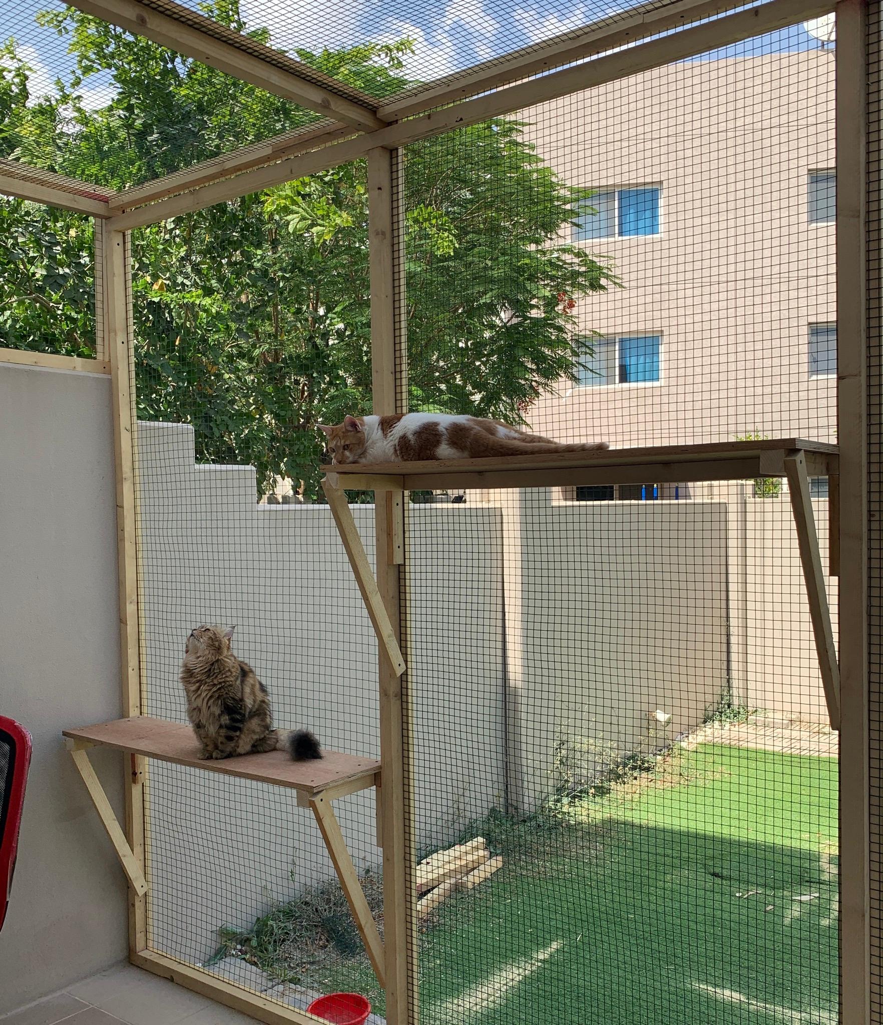 Building a catio Why I spent Dh3 000 on an outside space for my