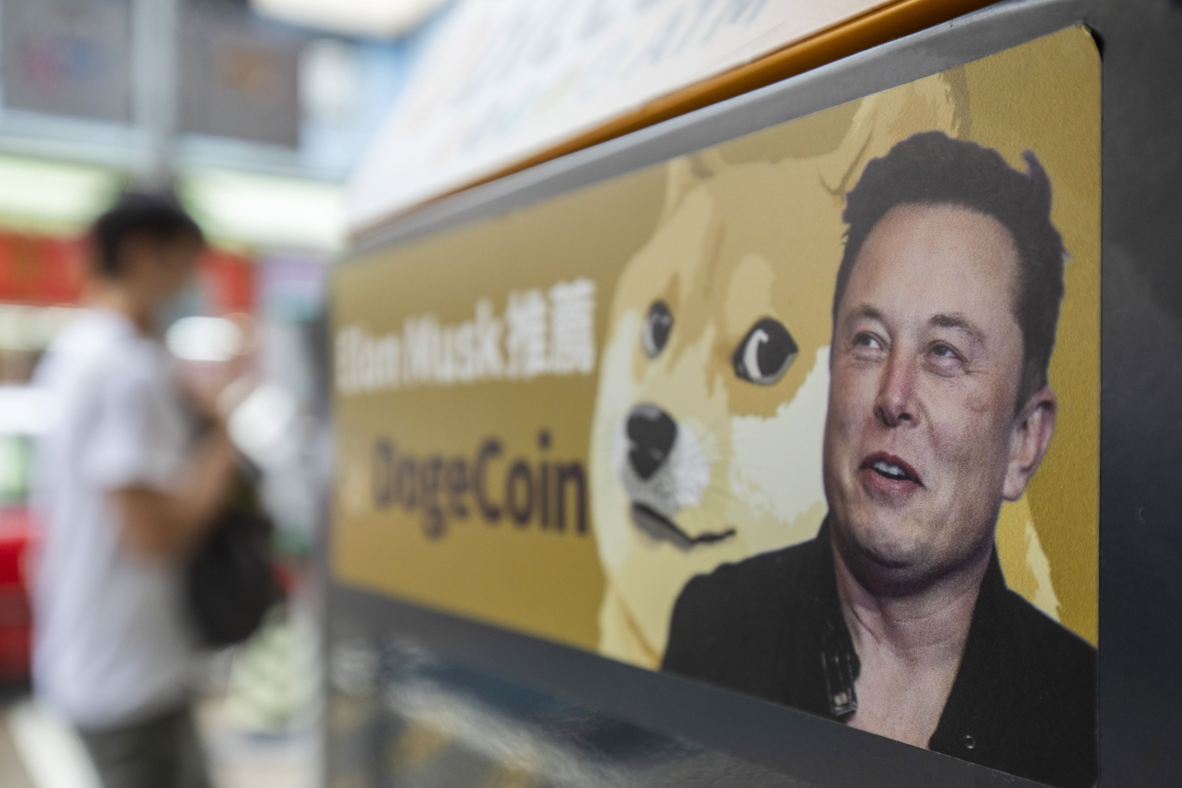 Dogecoin price doubles and more crypto millionaires appear after US  election | The National