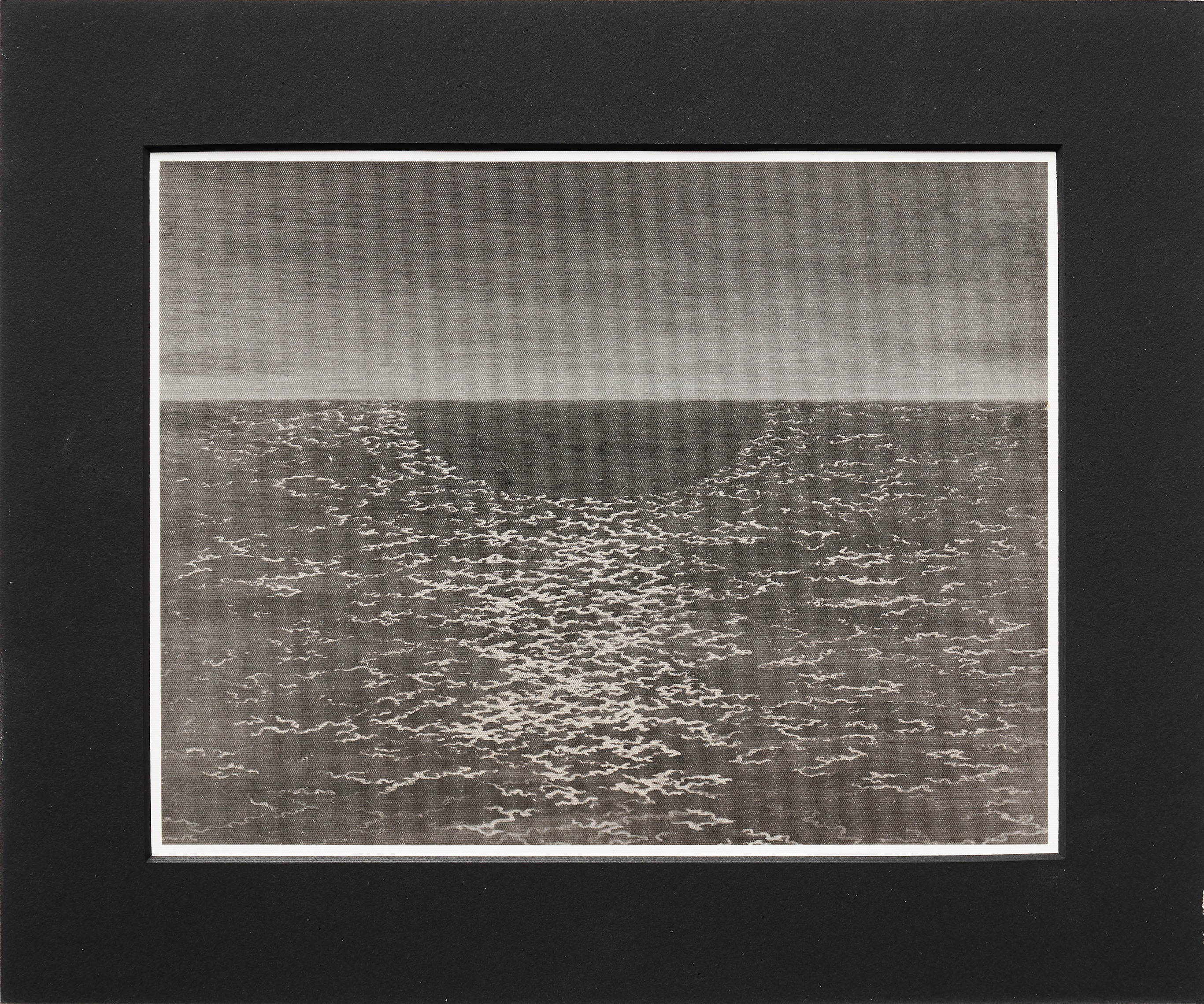 Ava Rose sahna ortida Katta tukli mushuk surati