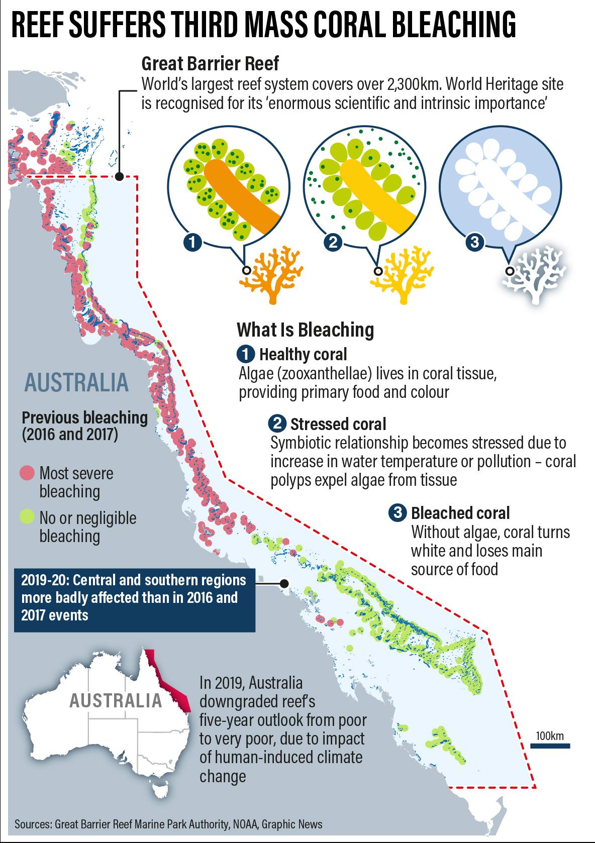 coral bleaching graph