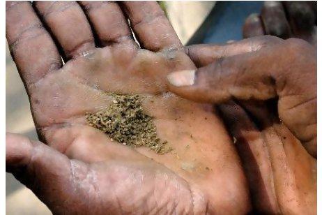 tobacco with chuna Stopping smokeless could save India, Bangladesh and Pakistan $23bn in lifetime healthcare costs, study shows Chuna - Etsy
