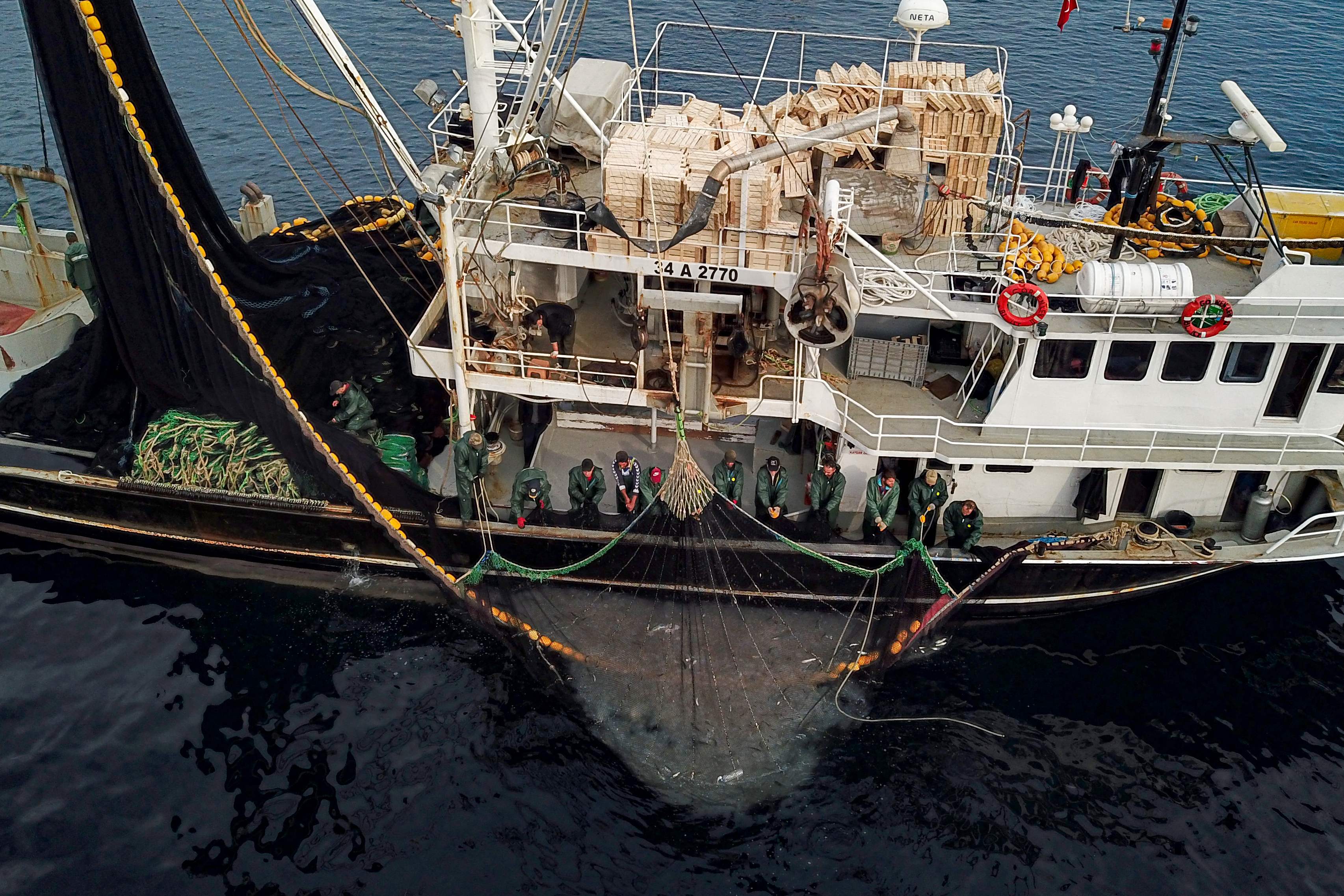 Bosphorus fish stocks crash as huge trawlers snatch the catch