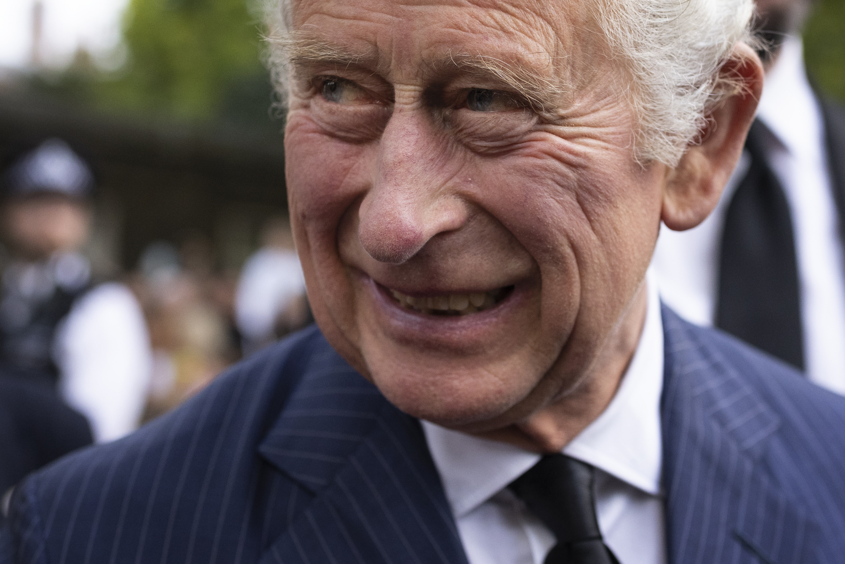 King Charles III has fruit salad and seeds for breakfast but no lunch