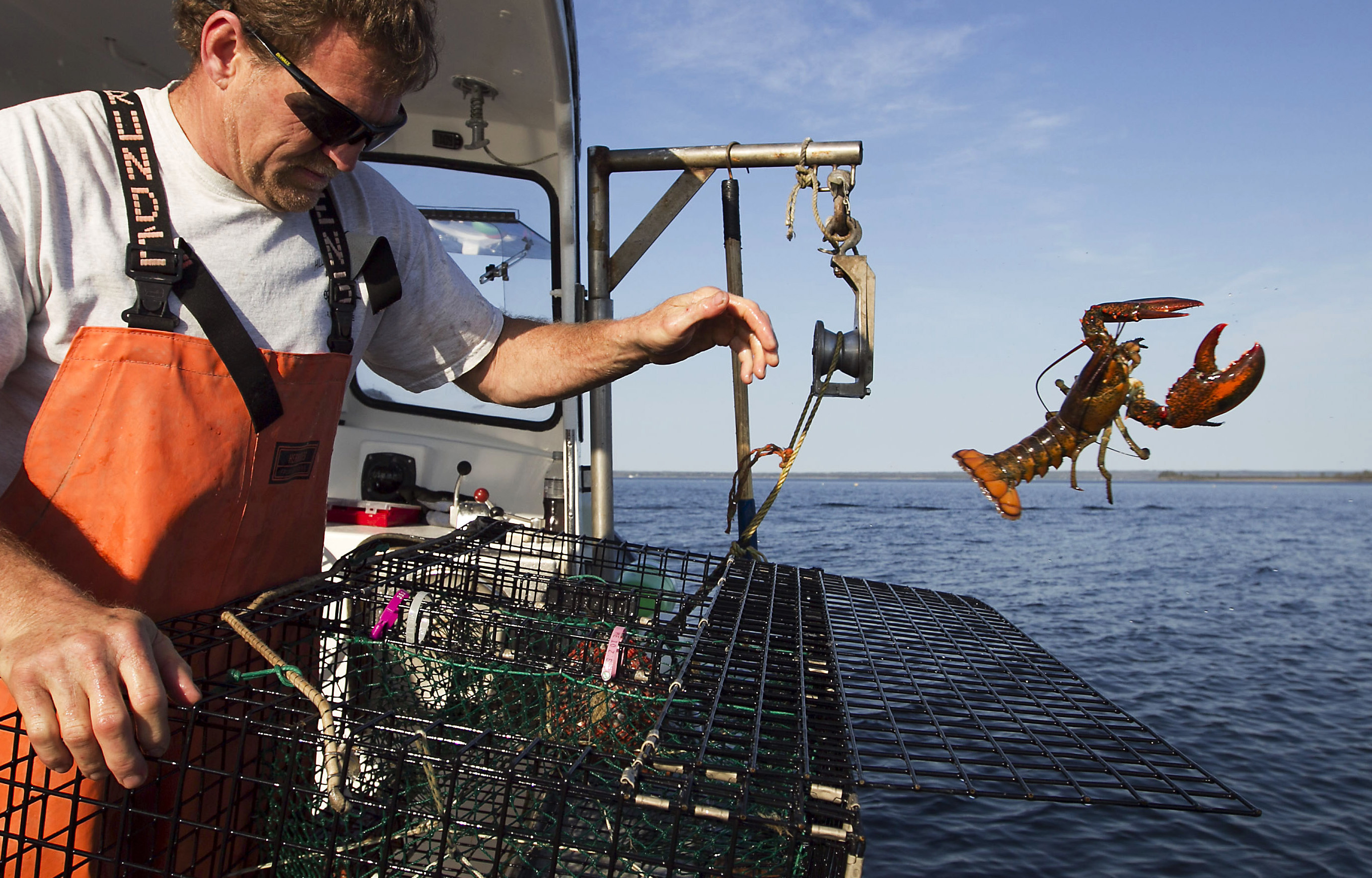 Climate change threatens the livelihoods of Maine's lobstermen