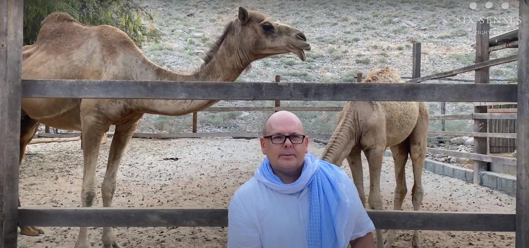 The man who lived with camels for weeks to get them to accept him