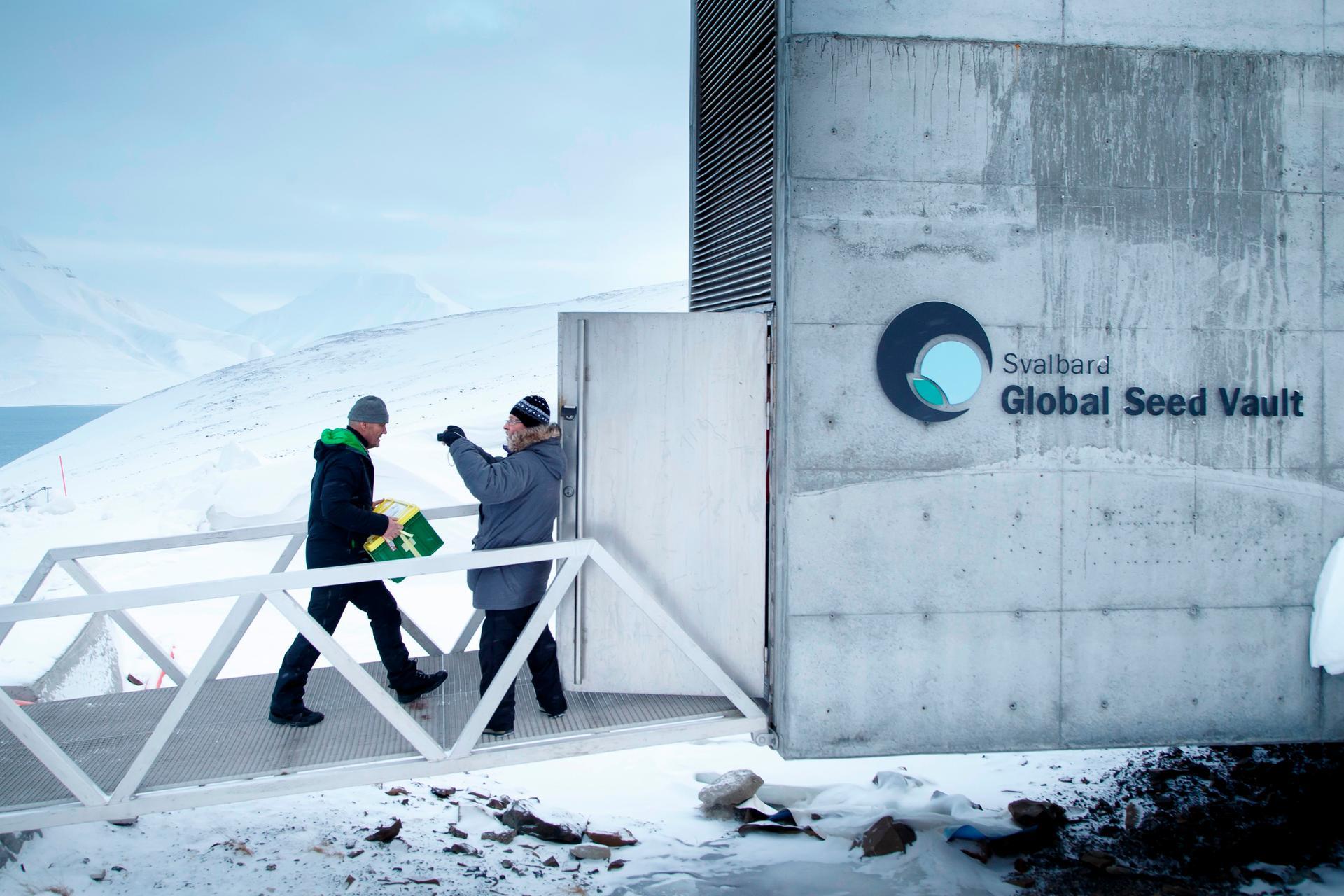 Delivery Puts Millionth Seed In Arctic Doomsday Food Vault