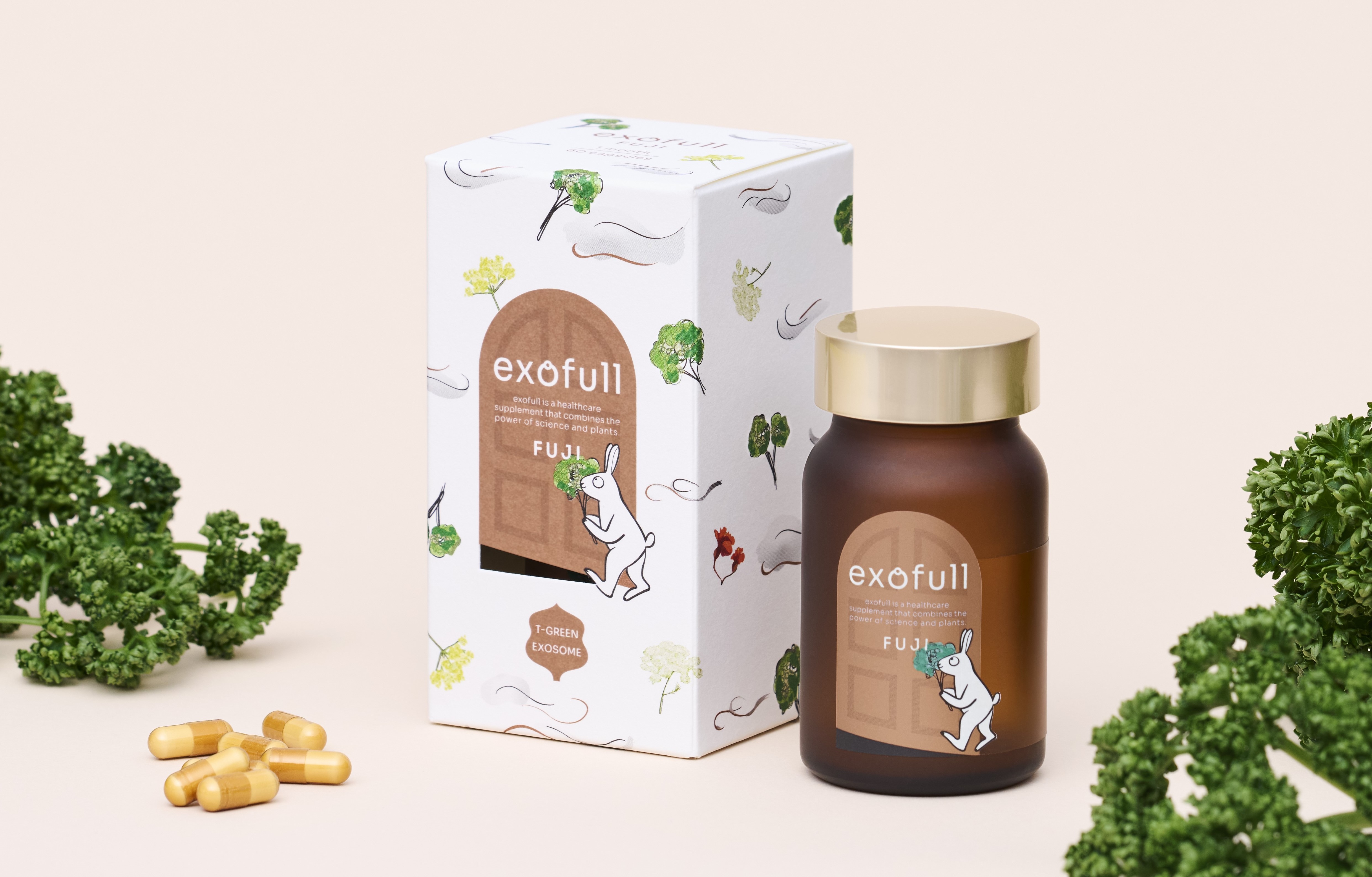 Japan's TIME TRAVELER debuts ageing-support supplement made from