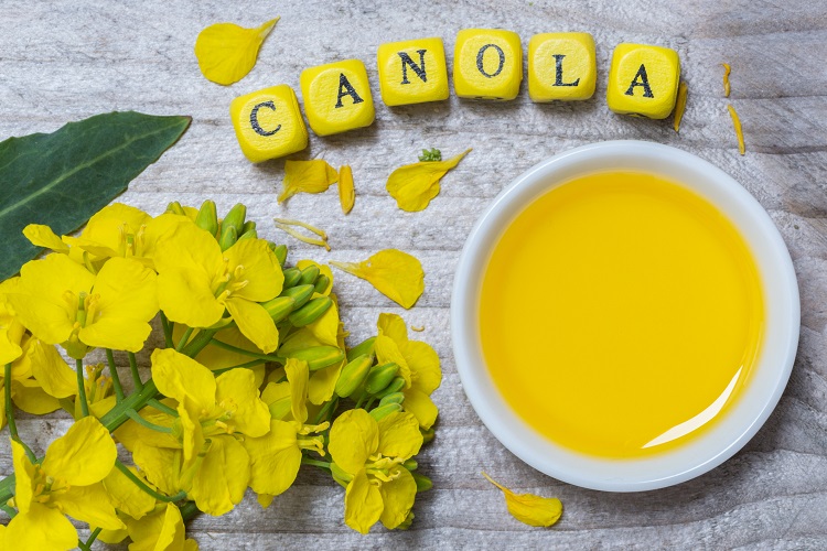 Cargill develops stable canola oil with low saturated fat and 'improved  flavour'