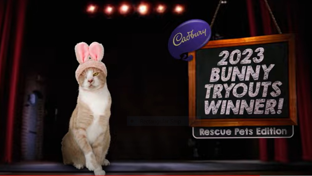 Cadbury Bunny Lion Commercial