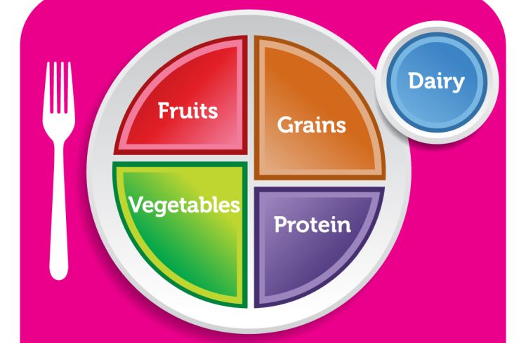 U.S. Dietary Guidelines Should Emphasize Beans and Lentils as Protein, Proposal Says - News Directory 3