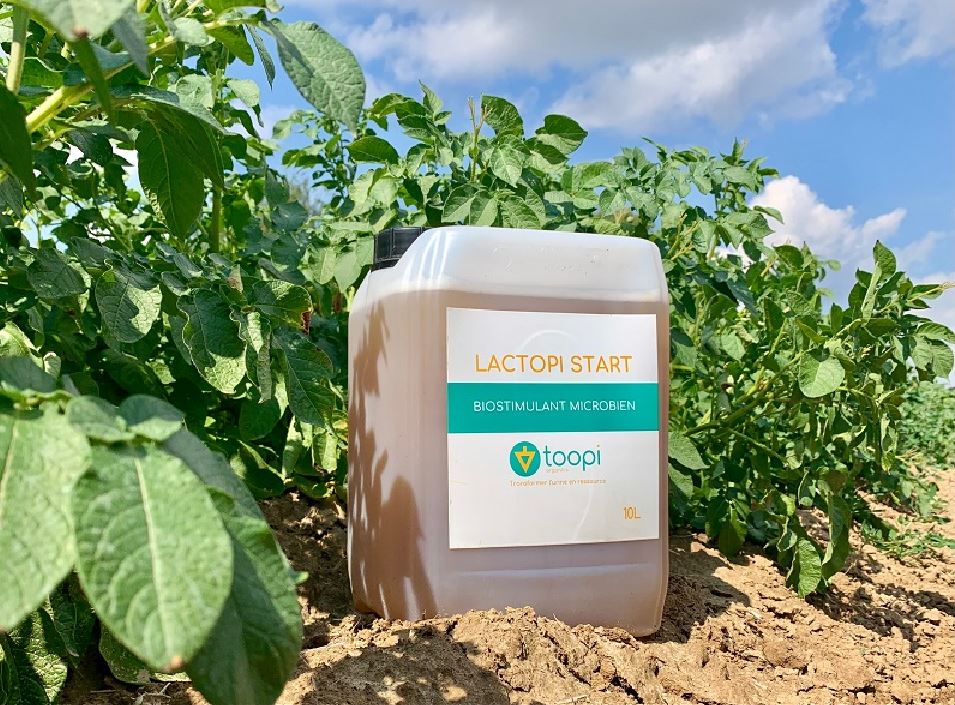 Urine could save the world'... The start-up turning pee into greener,  cheaper fertilizer