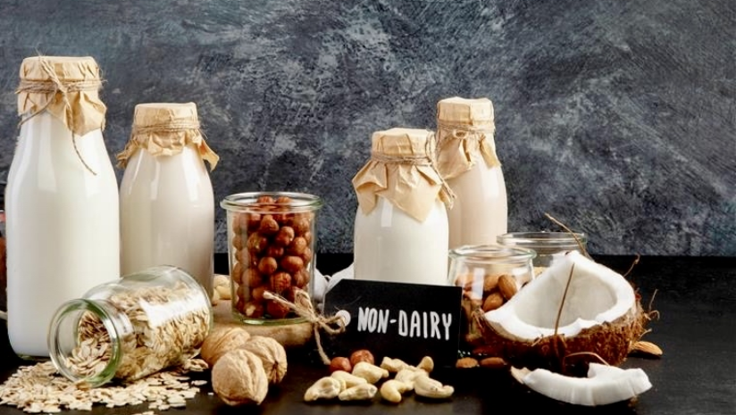danone glp-1 Danone tackles the big question for GLP-1 users: What should they eat?