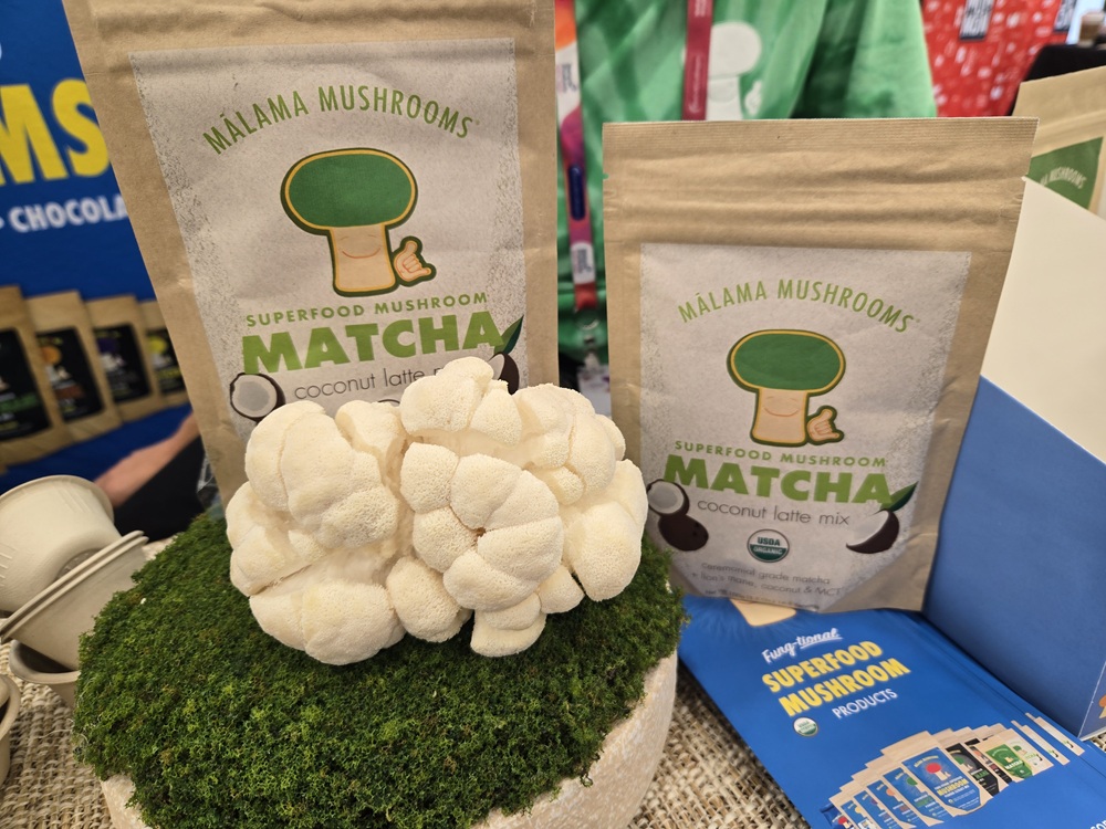 Functional mushroom boom in food and beverage faces shakeout