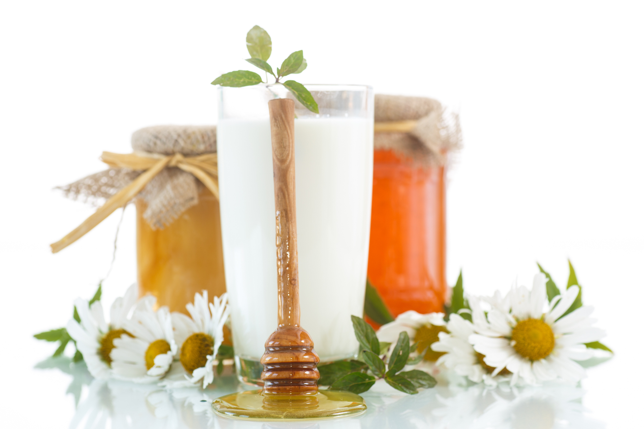 Kiwi firm to launch functional milk with botanicals, synbiotics