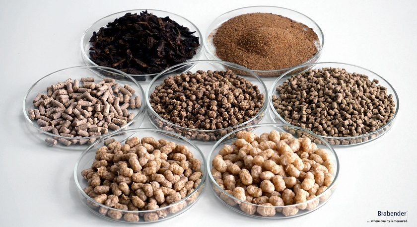 Lab-scale testing of novel fish feed ingredients