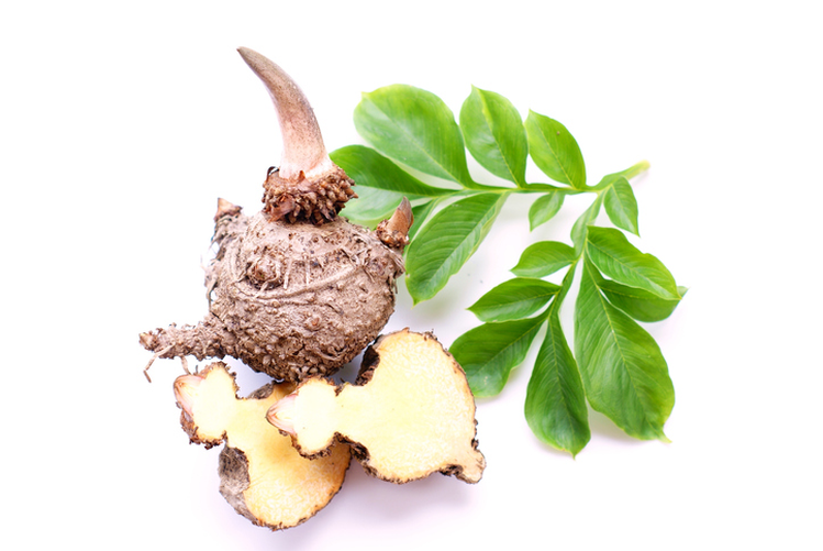 Glucomannan (konjac flour) added to FDA list of dietary fibers Glucomannan (konjac flour) added to FDA list of dietary fibers