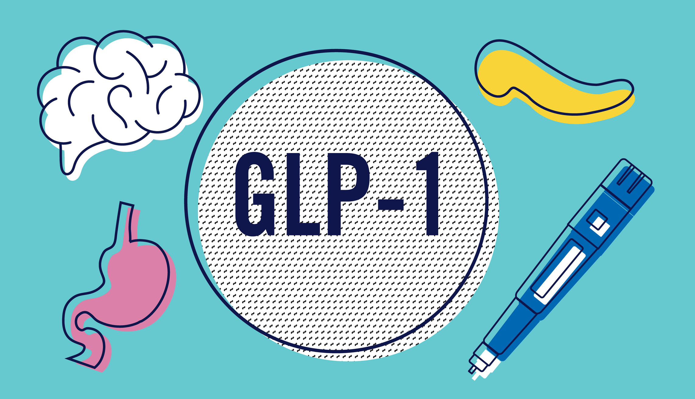 can i qualify for glp 1 What is GLP-1 & Does it Affect Weight & Cognition? can i qualify for glp 1 What is GLP-1 & Does it Affect Weight & Cognition?