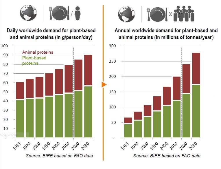 Changing diets: Plant protein sustainability crucial for food security